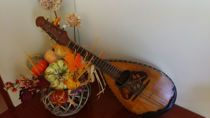 mandolino e colori autunnali!