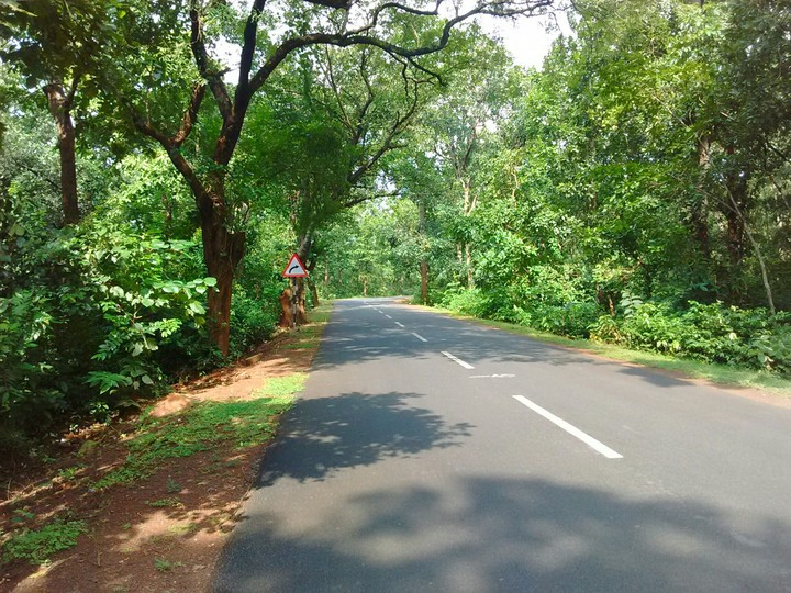 long road long ride