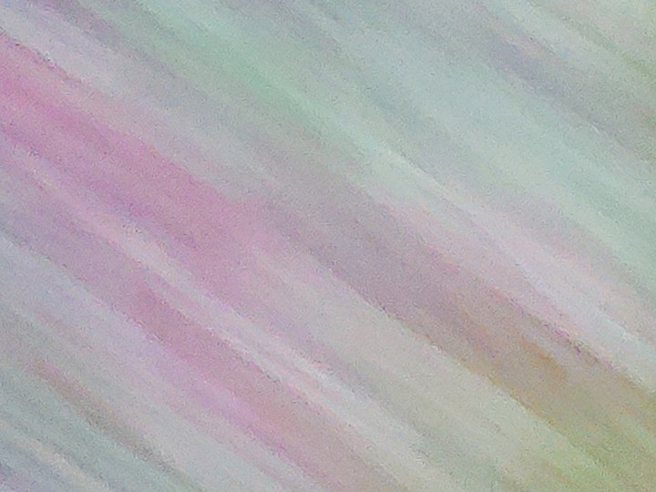 took by accident while walking