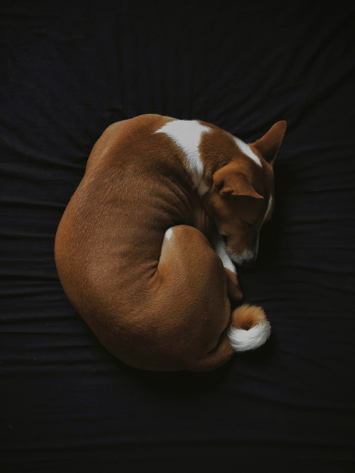 Napping