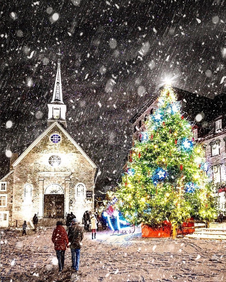 snowy