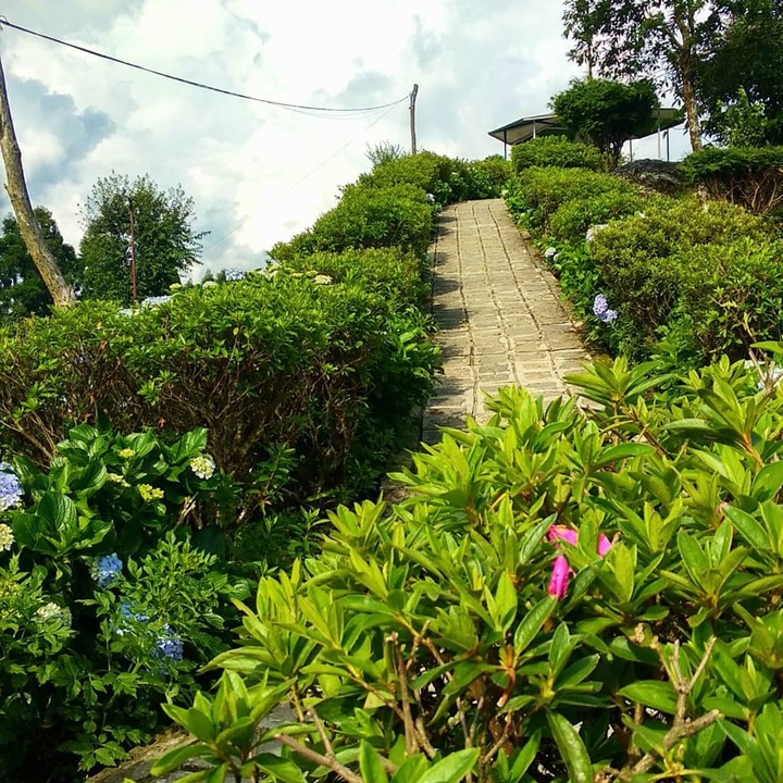 Road to Heaven