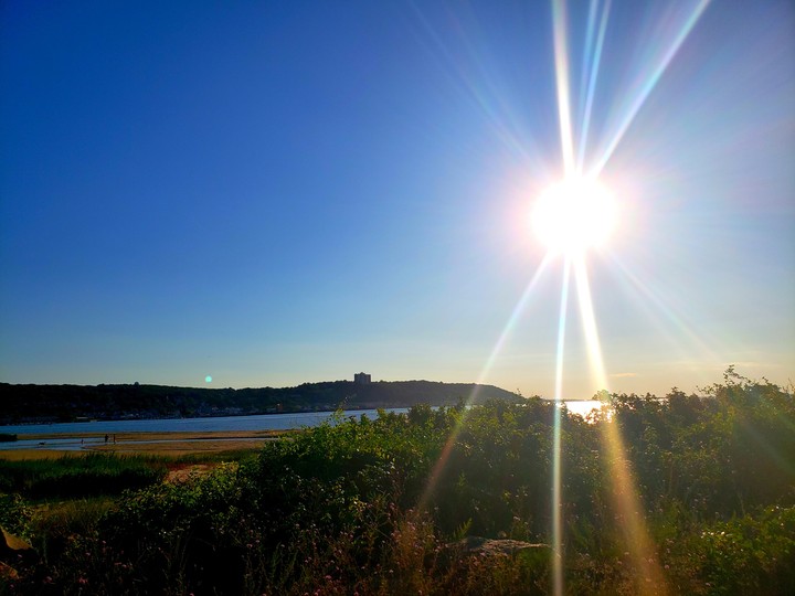 The Sun