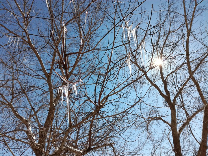 spring