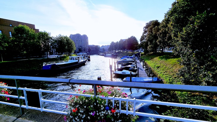 view of bridge