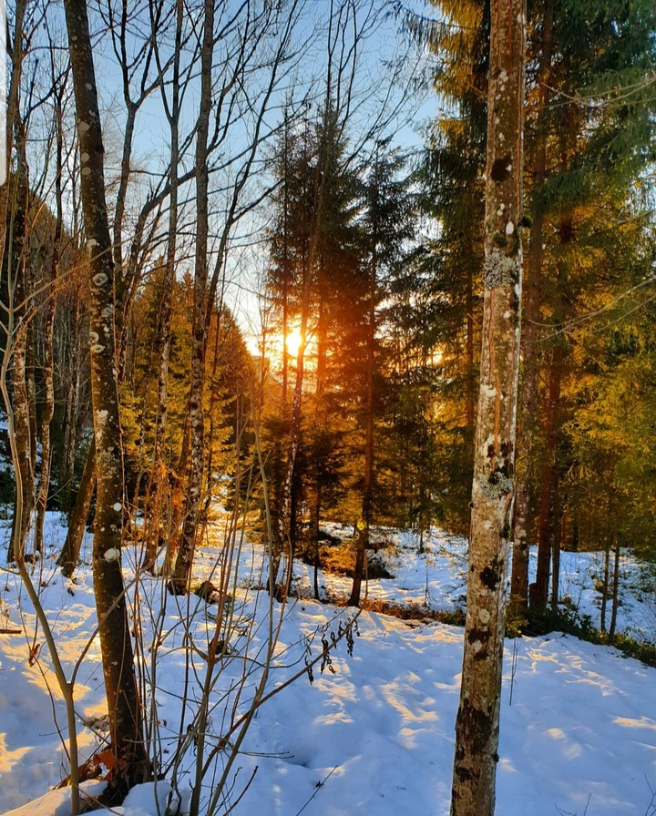 Winter