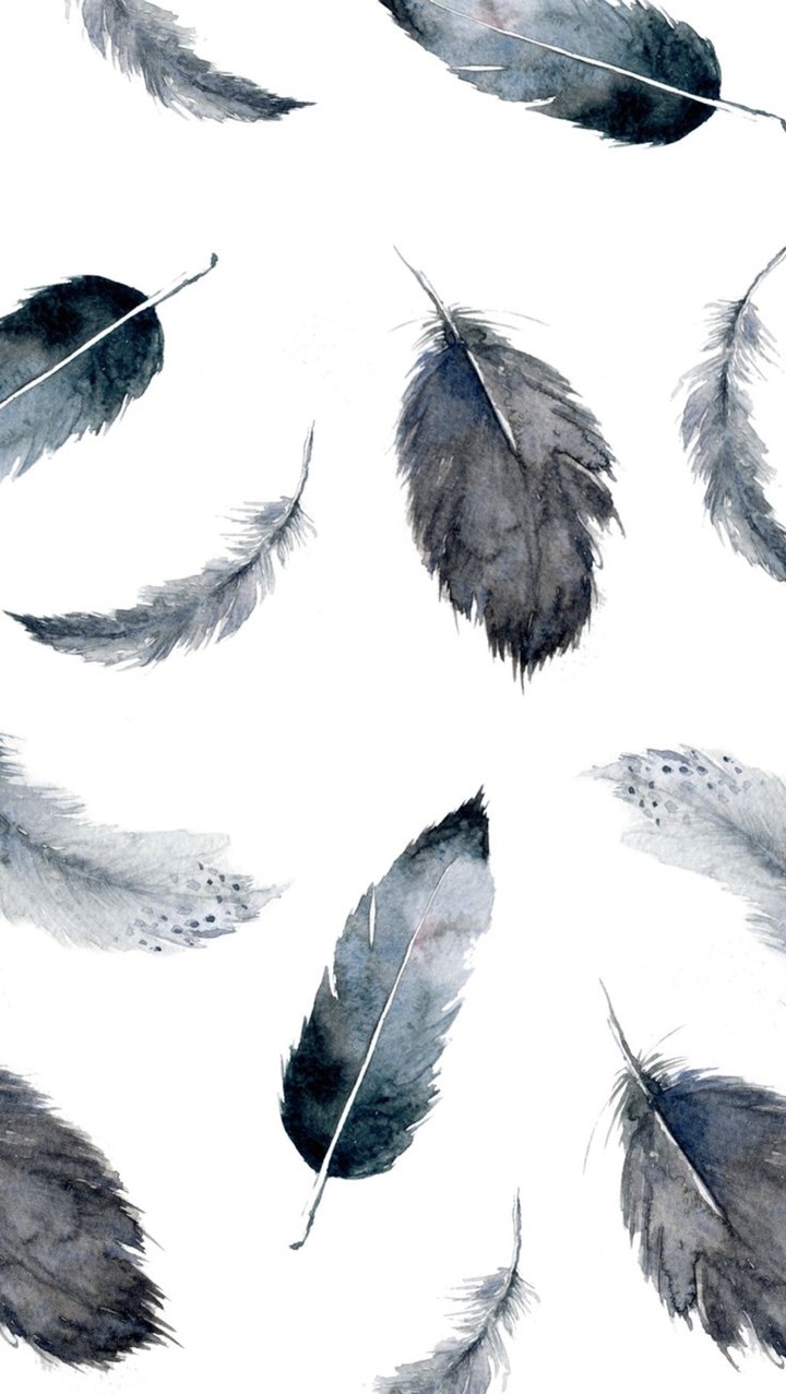 feathers
