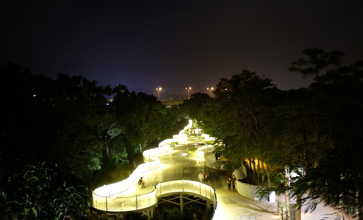 view