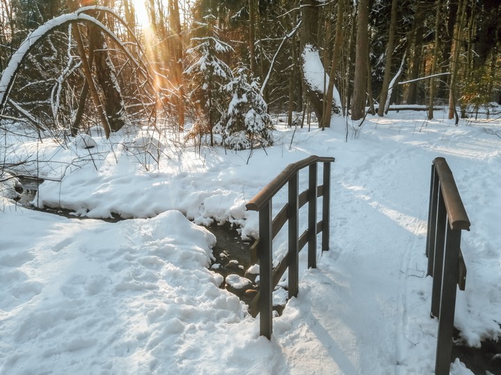 Komarovo, Leningrad region
