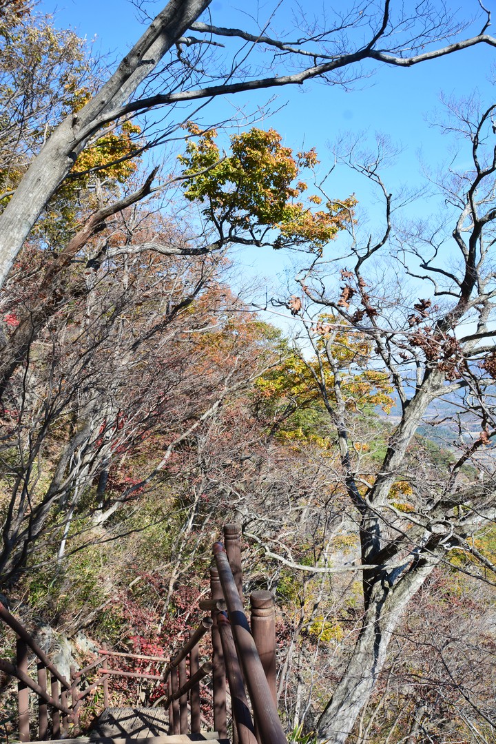 풍경이미지