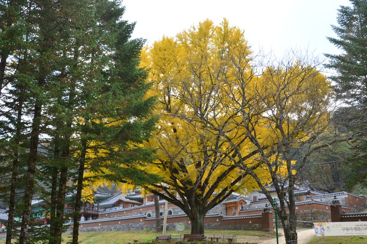 치악산이미지