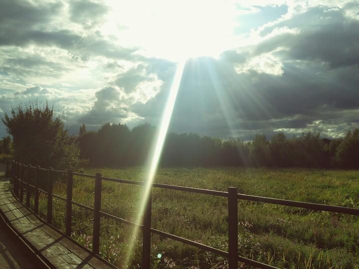 Sunlight and Fields