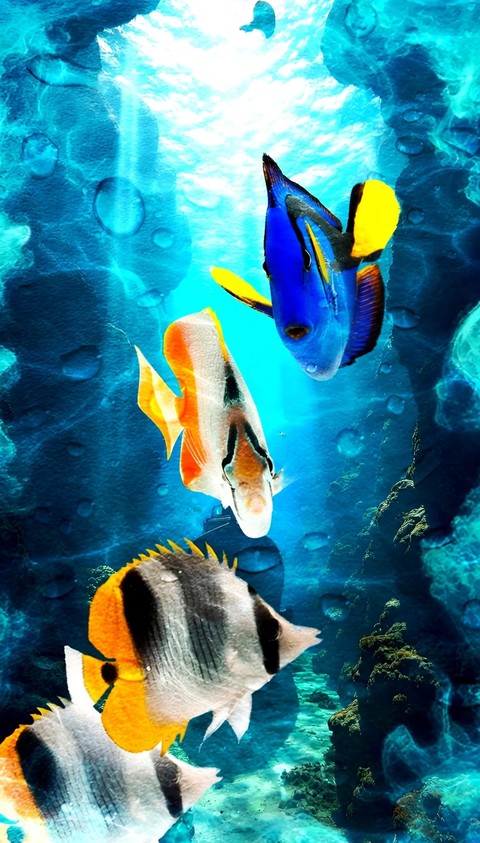 Ocean fishes