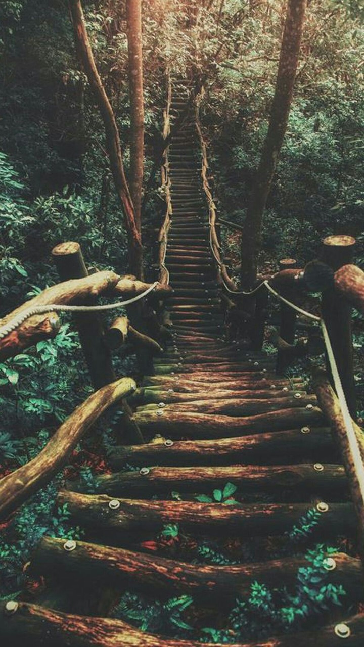 Bridge