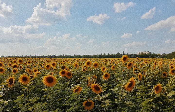 #summer