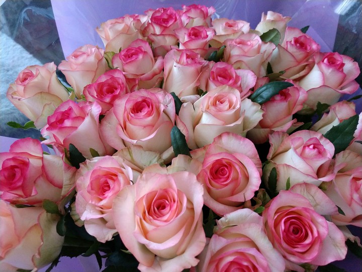 rose