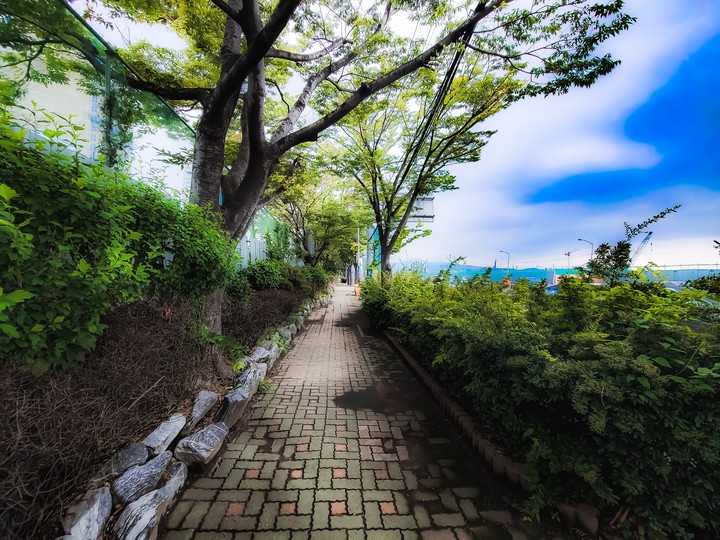 보행로