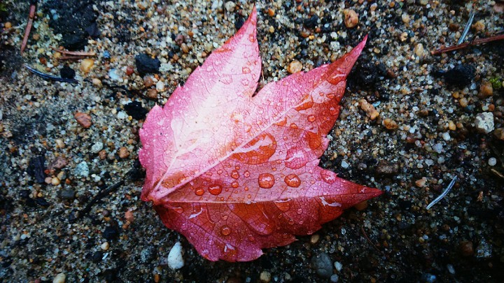 Autumn