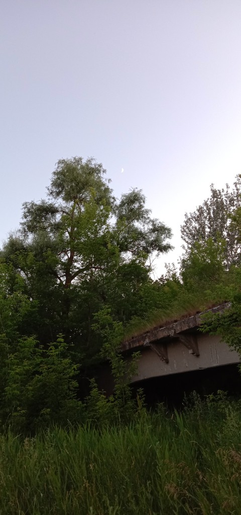 natures