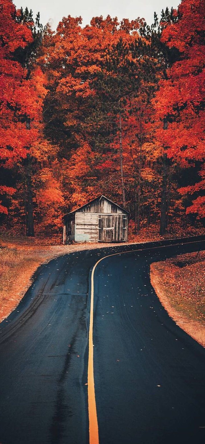 autumn road