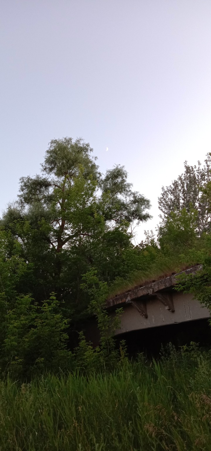 natures