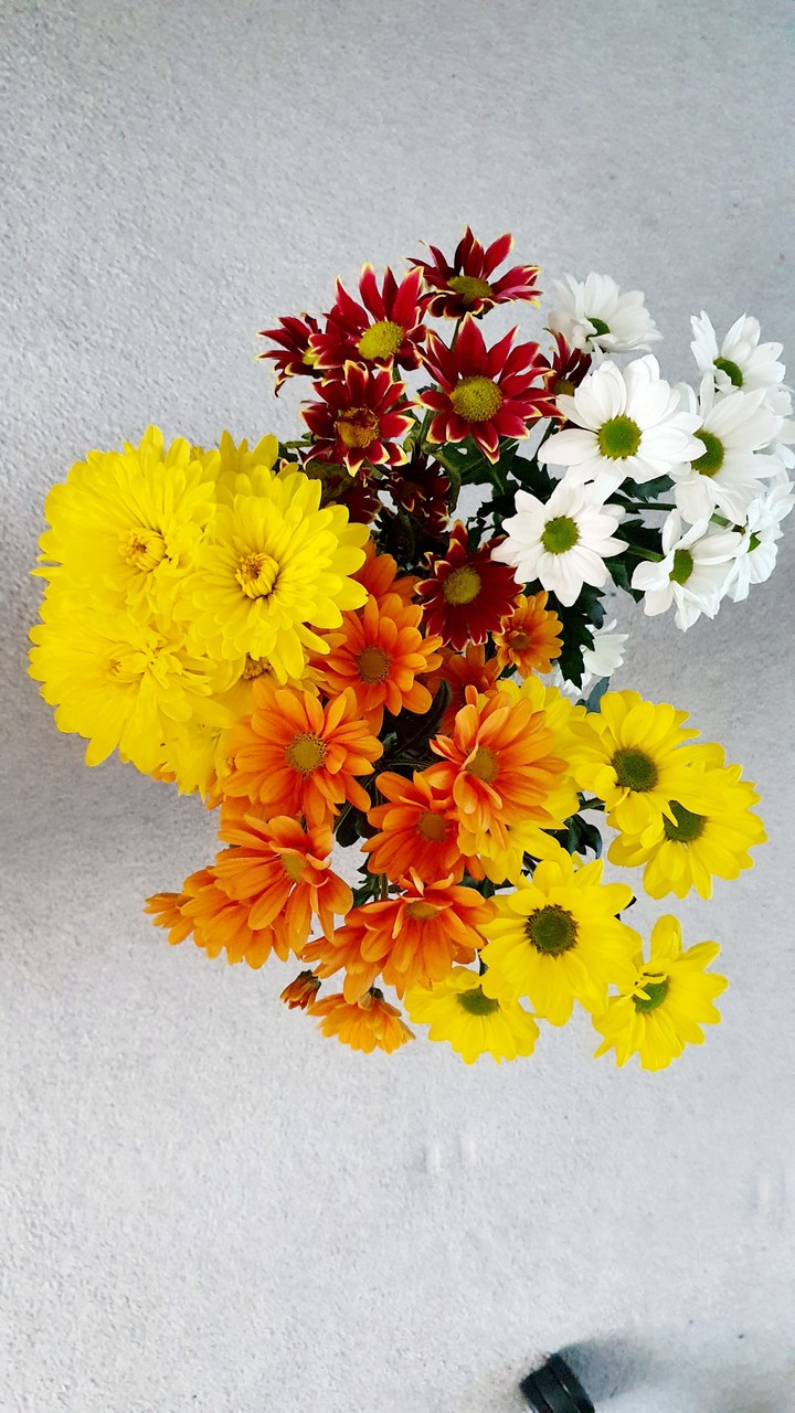 Flowers