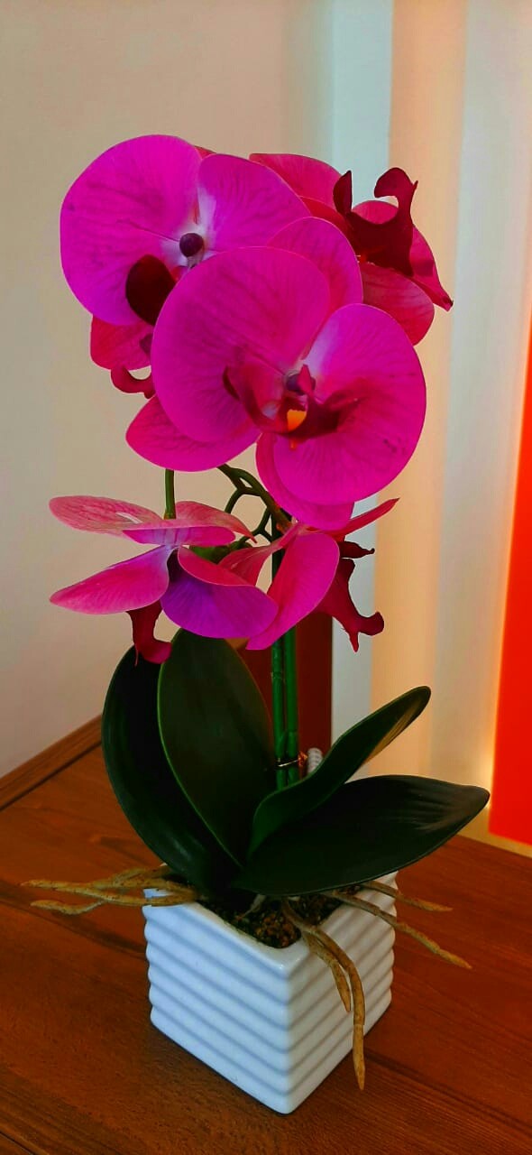 Flowers pot