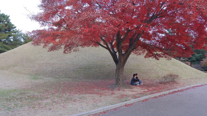 Japón en otoño