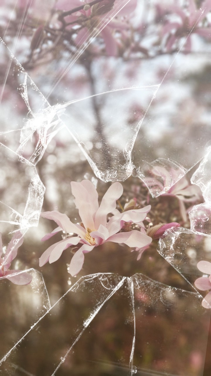 Spring flowers