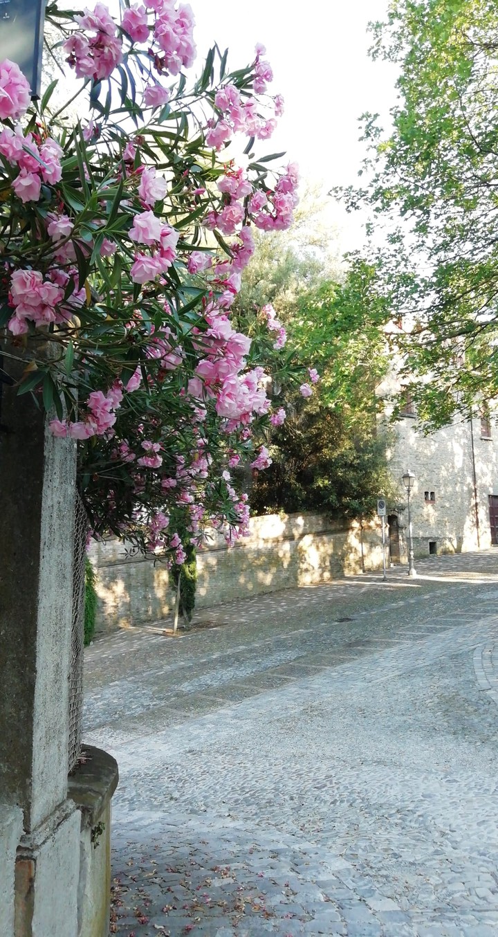 home
