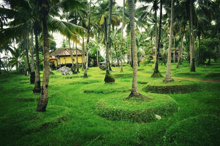 Bramhavara nature