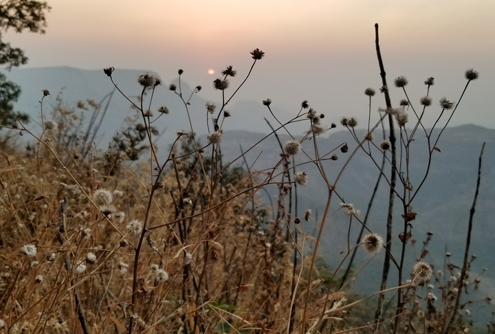 Somewhere in the Mountains of Matheran