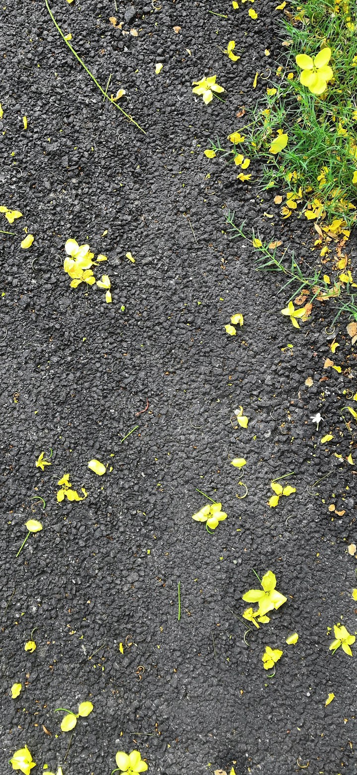 road