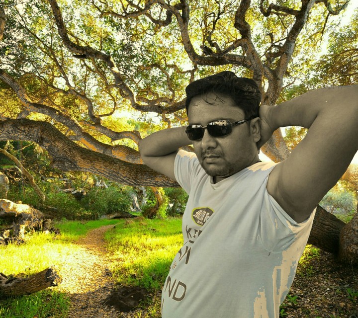 Gir forest