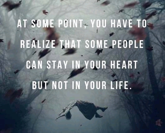 live life best