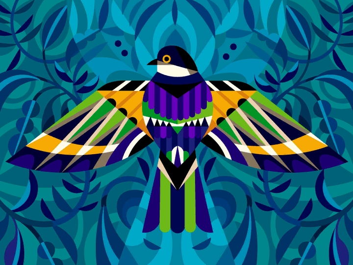 Bird