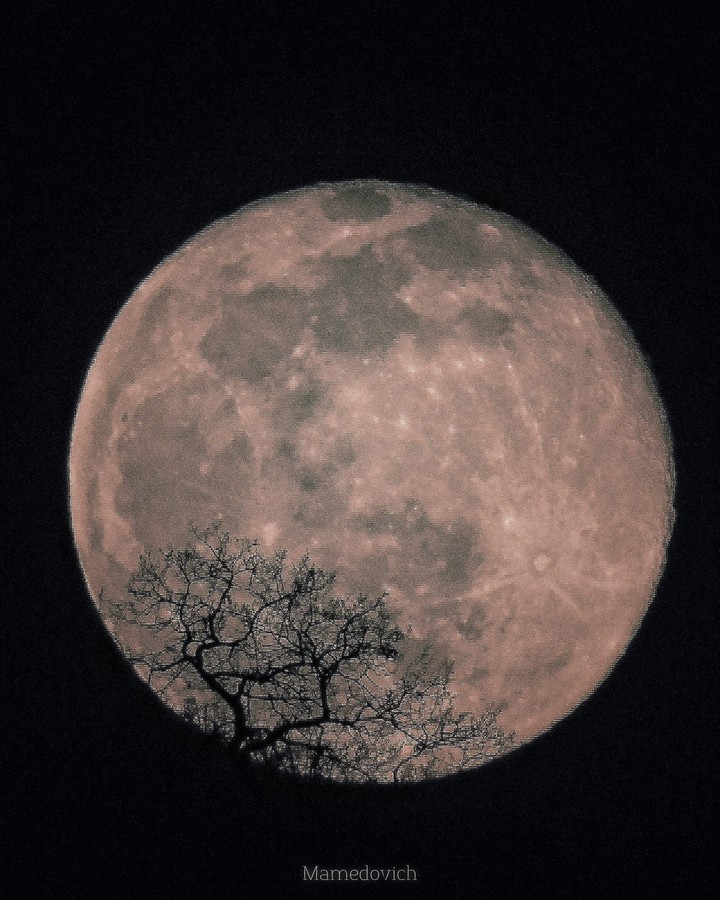 moon