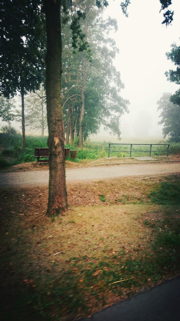 Spreewald