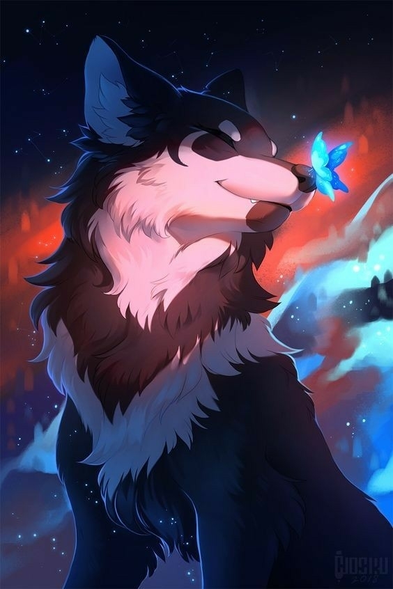 wolf