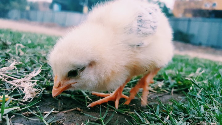 cuteeeeee