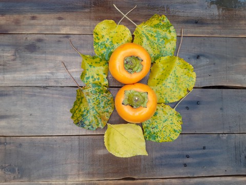 обои fruit, food