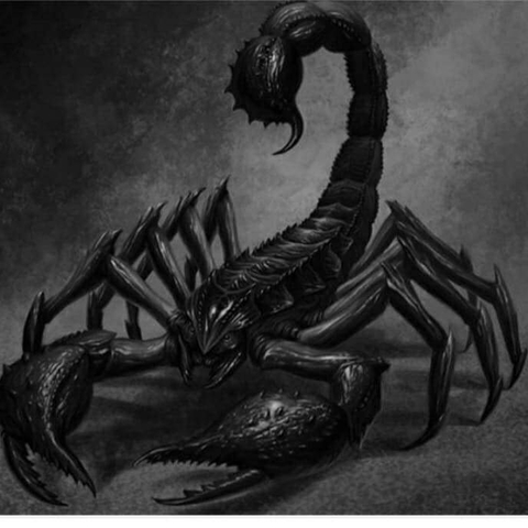 scorpion