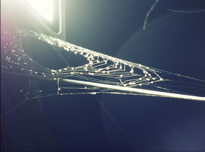 Web