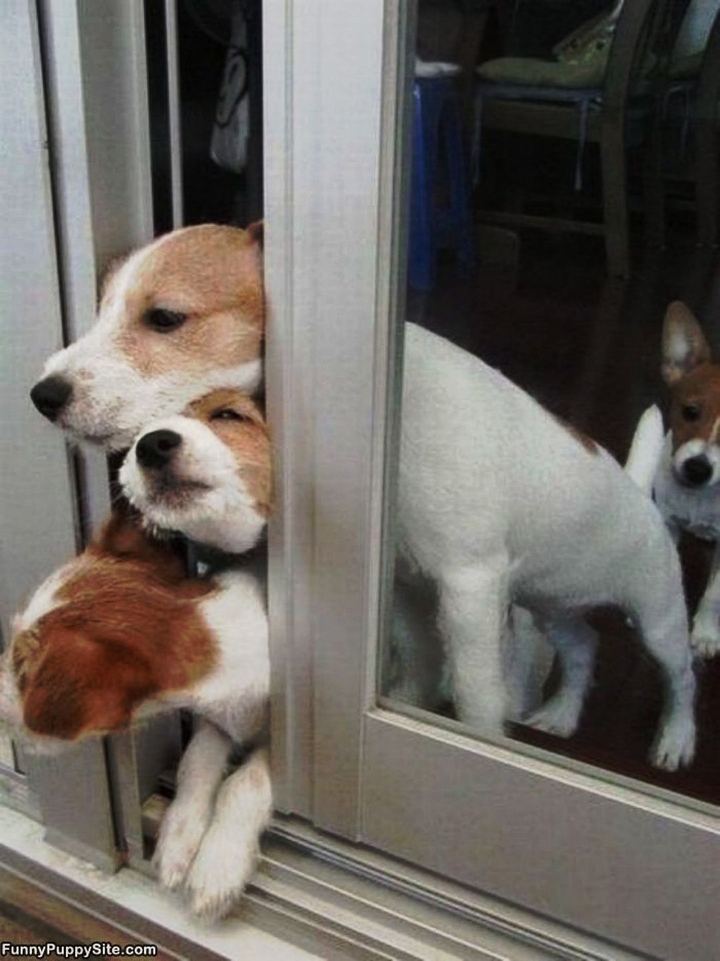 Mooooove!