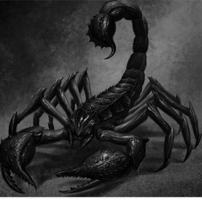 scorpion
