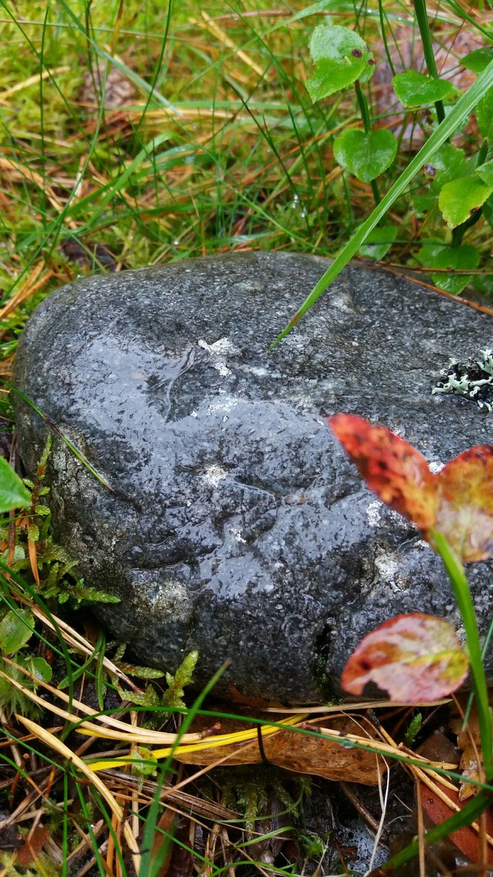 Rainy stone