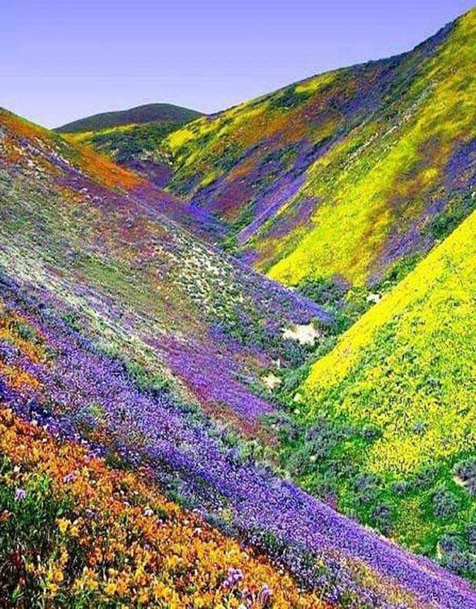 beauty of nature