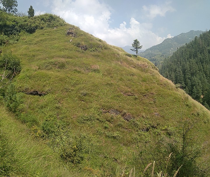 hills