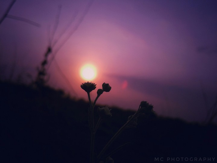 Sun set