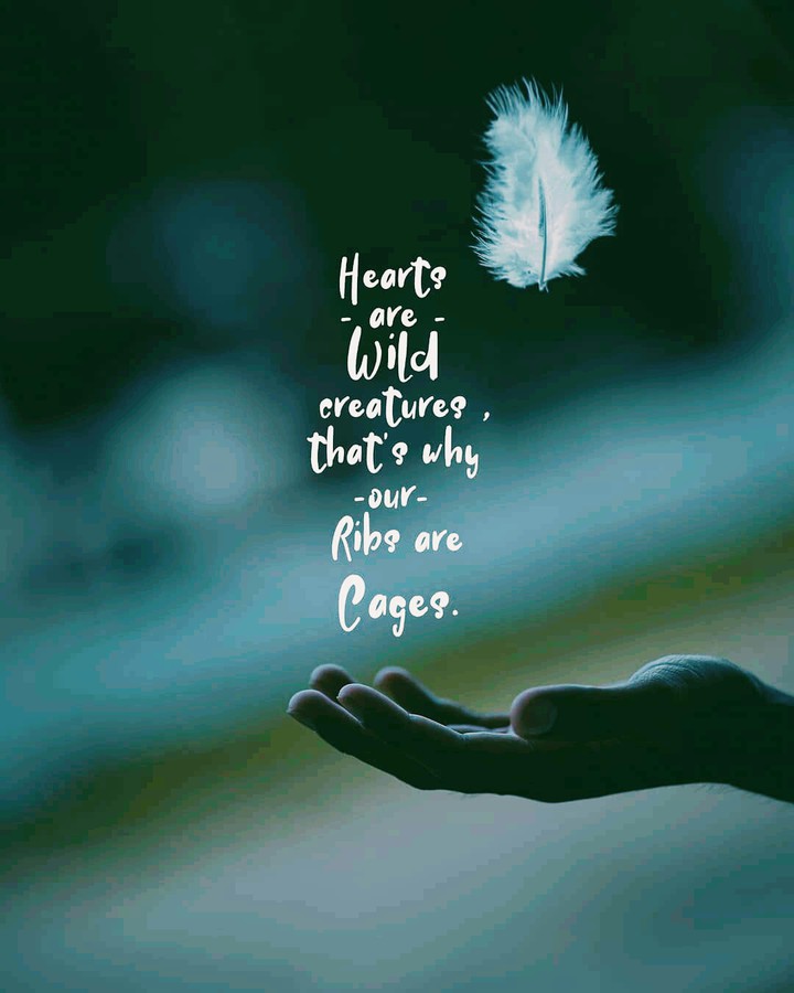 ? Hearts  are Wild Creatures ?
•
•